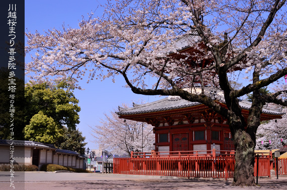 �쑽�@�̍��܂� ����