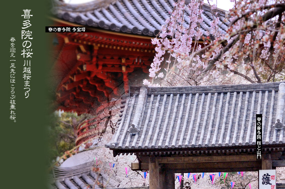 �쑽�@�̍��܂� ����