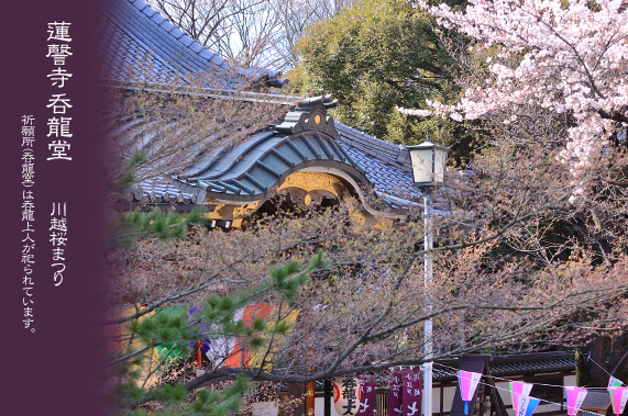 蓮謦寺の祈願所と桜まつり
