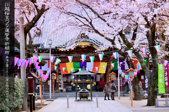 �@撎��̋F�菊�ƍ��܂�