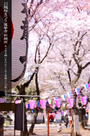 �@撎��̋F�菊�ƍ��܂�