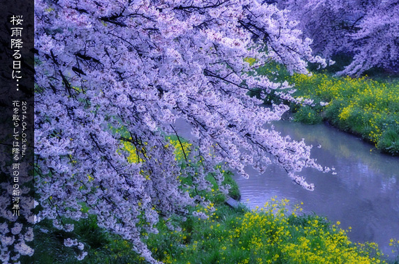 ��z �V�͊ݐ�ƍ� ���J�~�����