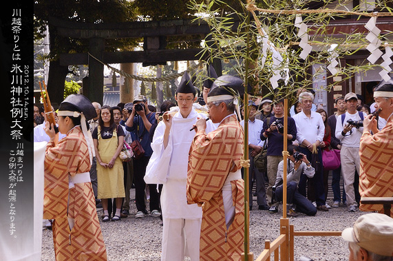 ��z�X��_�� ���� 