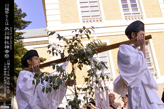 ��z�X��_�� ���� �{�a�ƍՒd�̌䕼�ƍ�