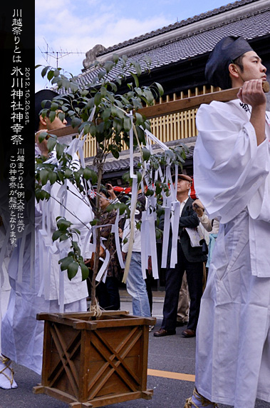 ��z�X��_�� ���� �{�a�ƍՒd�̌䕼�ƍ�