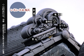 ��z�̑����� �S���̂�����