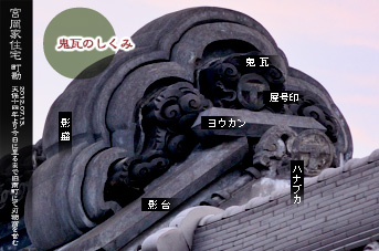 ��z�̑����� �S���̂�����