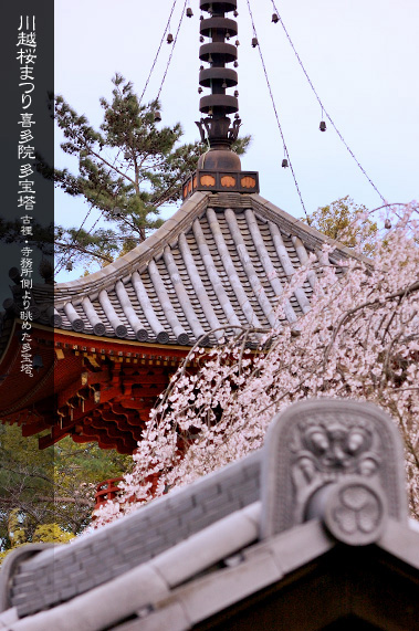 �쑽�@ ���̋G�߂̑���