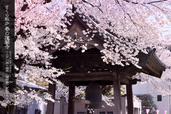 �吳�Q�����ʂ�]�[���� �t�̘A���� ������