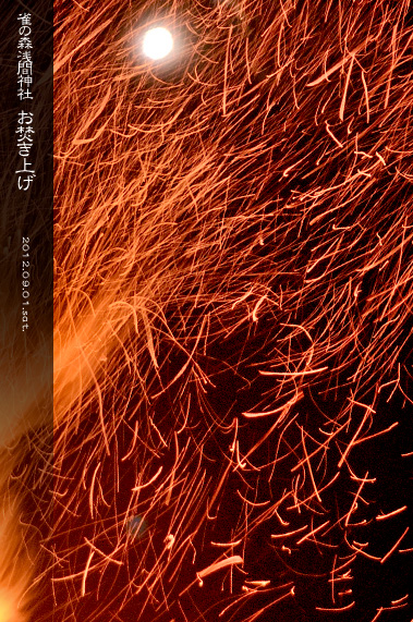 ��z �H�̍Ύ��L ���̐X �X��_�� �������グ