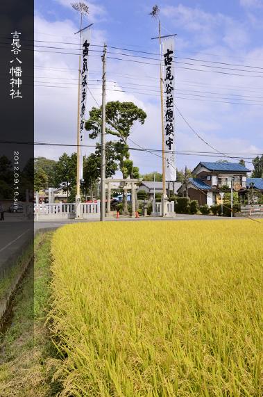 ��z �Ô��J�����_�� �����ƛ��