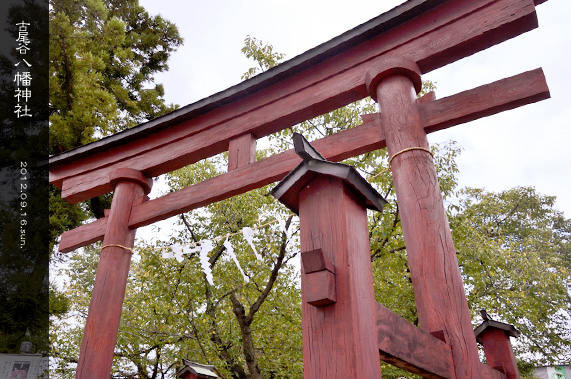 ��z �Ô��J�����_�� ��ɓh��ꂽ�ؐ��̒���